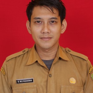 M. Mulyagunawan, S.Kom